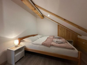 Apartman Santro